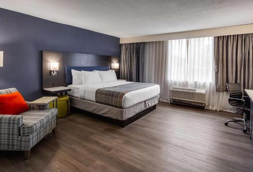 اتاق استاندارد با تخت بزرگ, Best Western Premier Richmond City Gateway