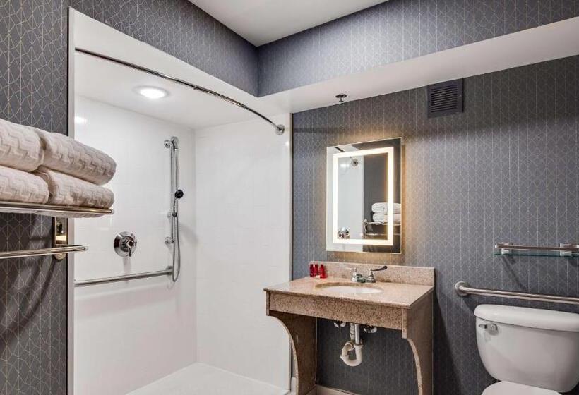اتاق استاندارد برای معلولان, Best Western Premier Richmond City Gateway