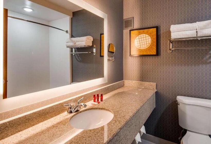 اتاق اجرایی با تخت بزرگ, Best Western Premier Richmond City Gateway