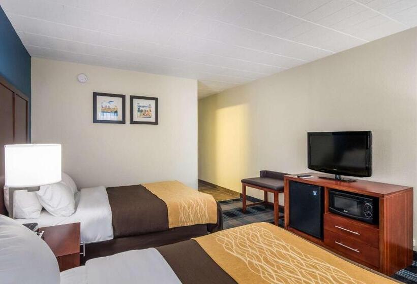 اتاق استاندارد با 2 تخت دوبل, Comfort Inn & Suites