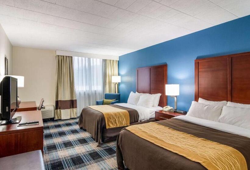 اتاق استاندارد با 2 تخت دوبل, Comfort Inn & Suites