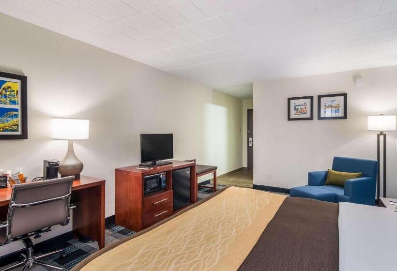 اتاق استاندارد با تخت بزرگ, Comfort Inn & Suites