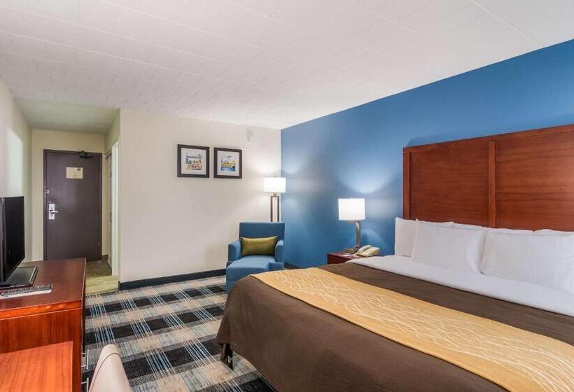 اتاق استاندارد با تخت بزرگ, Comfort Inn & Suites