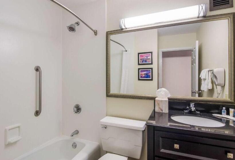 اتاق استاندارد با تخت بزرگ, Comfort Inn & Suites