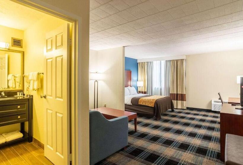 اتاق استاندارد, Comfort Inn & Suites