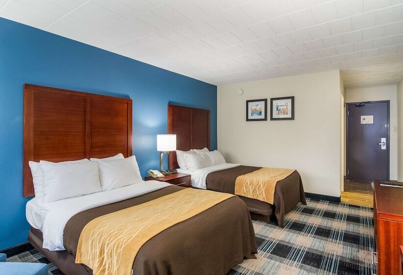 اتاق استاندارد با 2 تخت دوبل, Comfort Inn & Suites