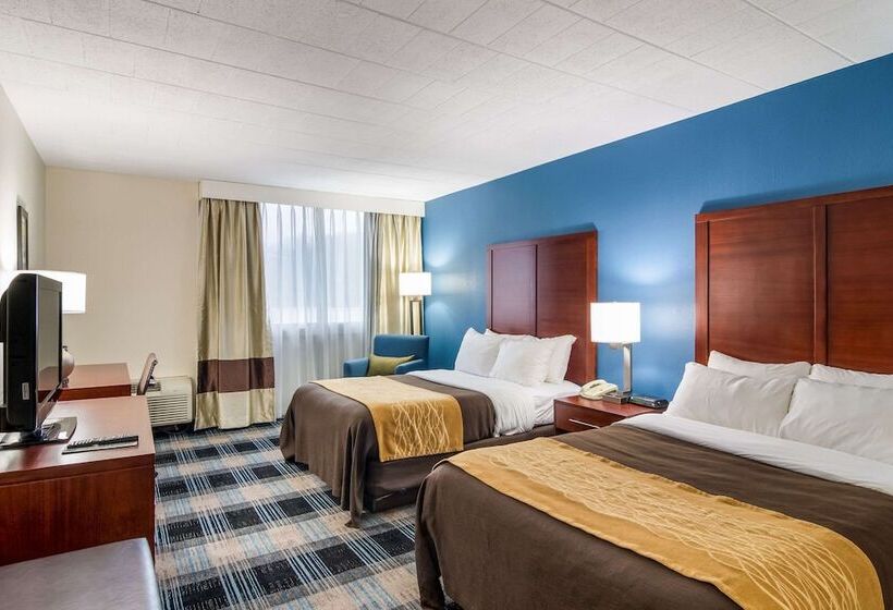 اتاق استاندارد با 2 تخت دوبل, Comfort Inn & Suites