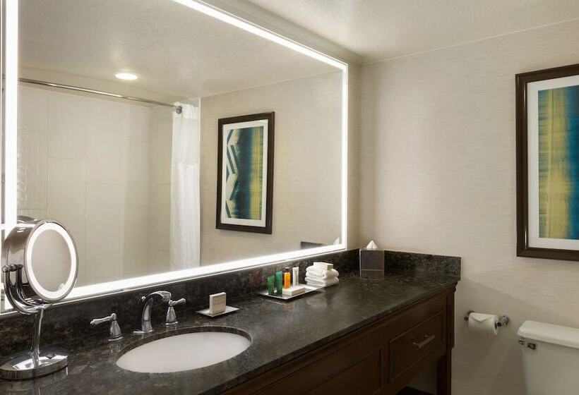 Номер Стандарт Адаптированный для Инвалидов, Hilton Fort Collins