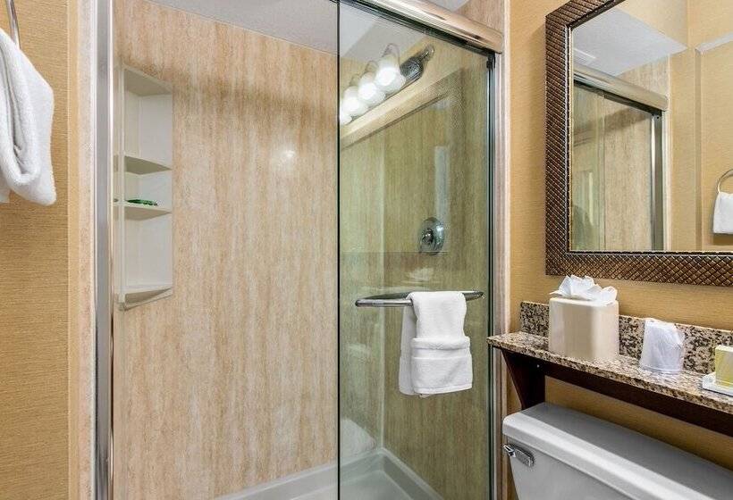 Люкс Вид на Город, Holiday Inn & Suites Clearwater Beach, An Ihg