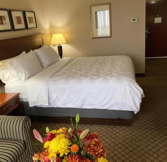 Стандартный Номер Кровать Кинг, Holiday Inn Cincinnati Eastgate, An Ihg