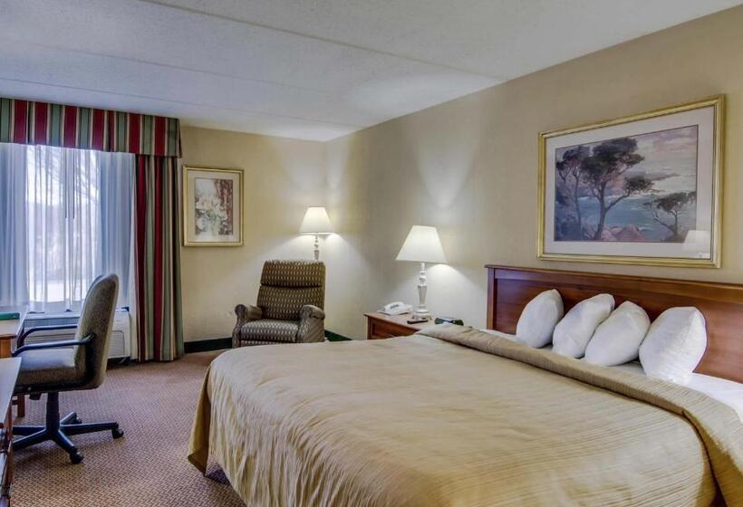 스탠다드 룸 킹사이즈 침대, Quality Hotel And Conference Center