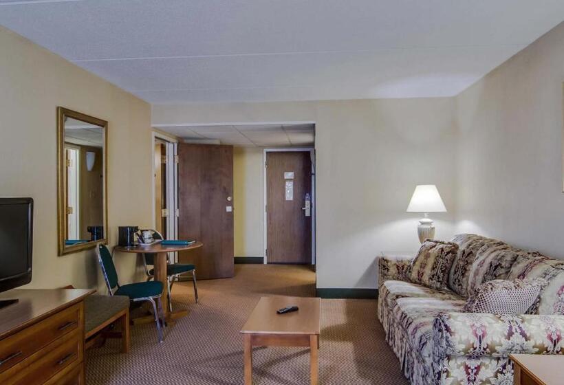 스탠다드 룸 킹사이즈 침대, Quality Hotel And Conference Center