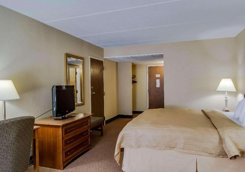 스탠다드 룸 킹사이즈 침대, Quality Hotel And Conference Center