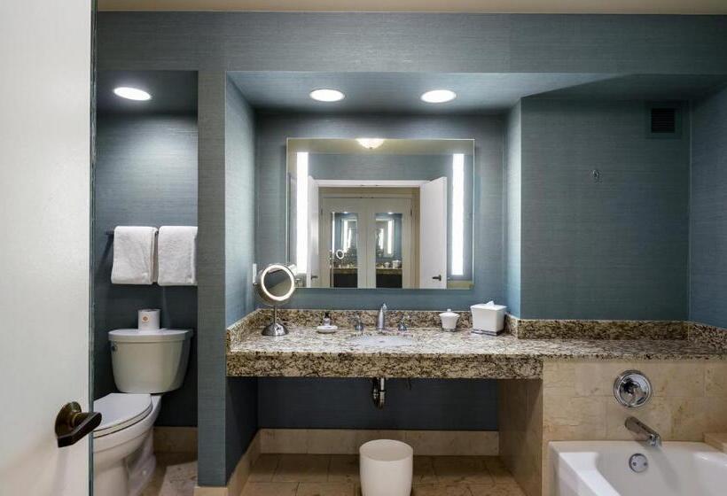 Номер Deluxe Вид на Гольф, Grand Hyatt Indian Wells Resort & Villas