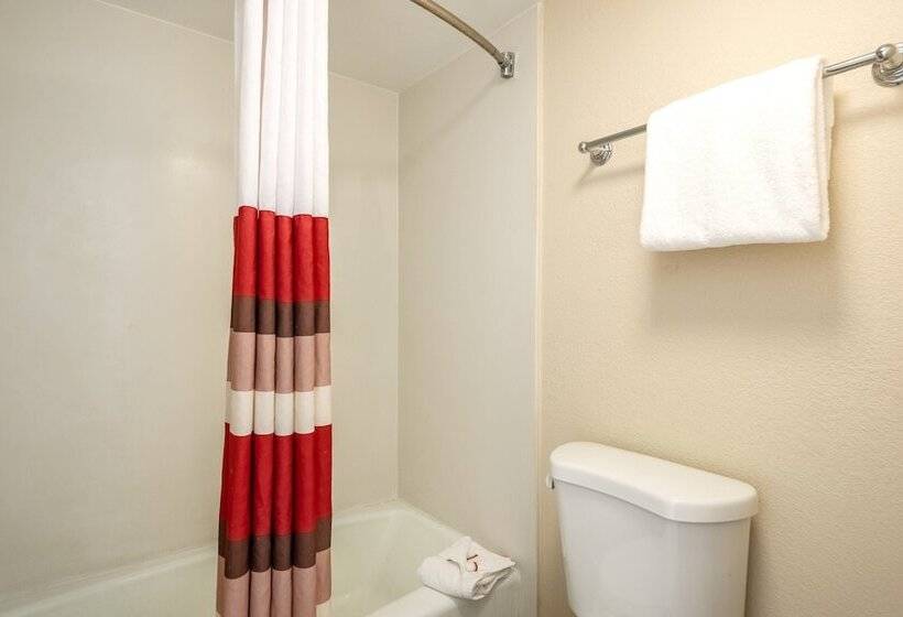 Номер Deluxe, Red Roof Inn Tampa Bay  St Petersburg