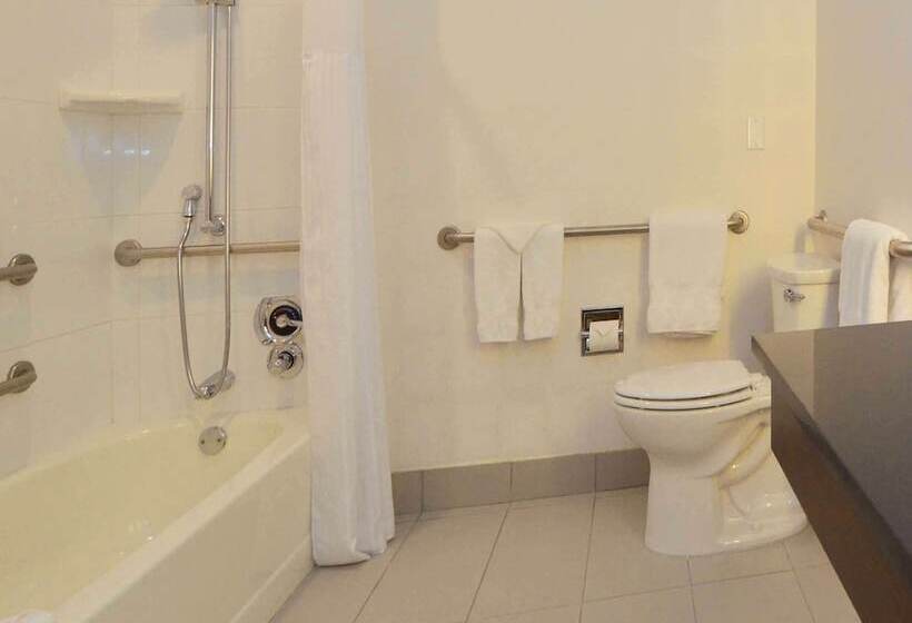 Standard-invahuone King-vuode, Doubletree By Hilton Newarkfremont