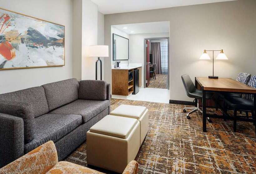 스탠다드 룸, Embassy Suites By Hilton Orlando International Dr Conv Ctr