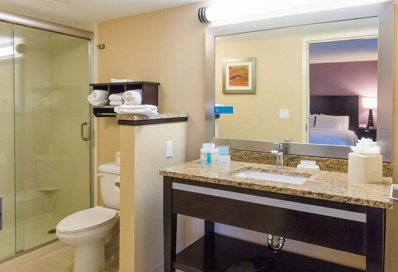 اتاق استاندارد با تخت دوبل و چشم‌انداز دریا, Hampton Inn Daytona Beach/beachfront