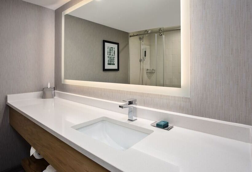 带2个双人床的标准工作室, Doubletree By Hilton Lansing