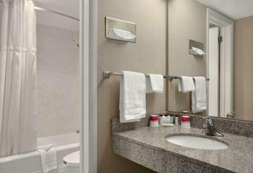 스탠다드 룸 킹사이즈 침대, Ramada By Wyndham Washington