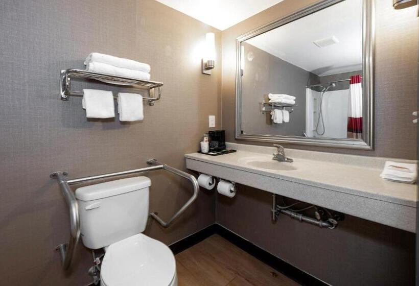Номер Стандарт Адаптированный для Инвалидов, Red Roof Inn Fulton