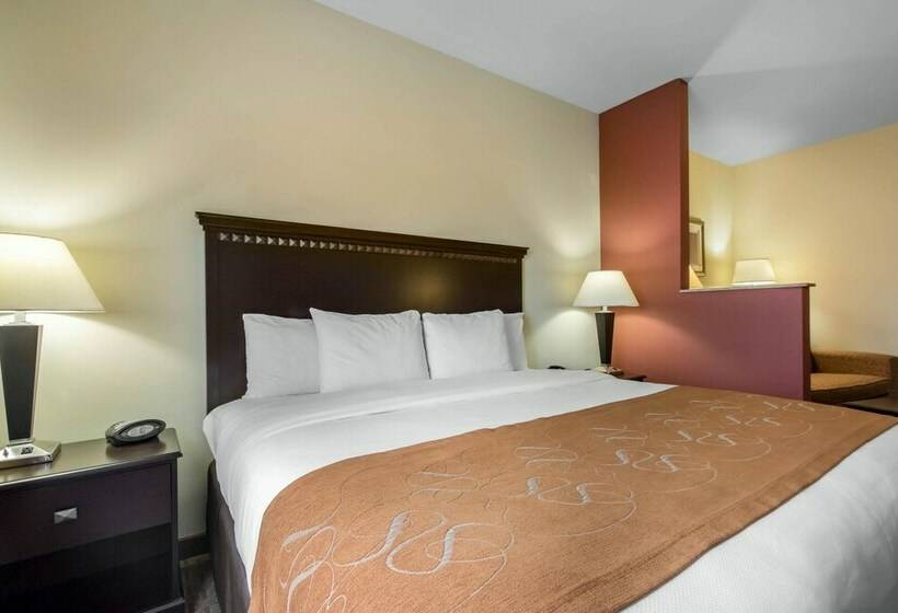 Люкс, Comfort Suites Cullman I65 Exit 310