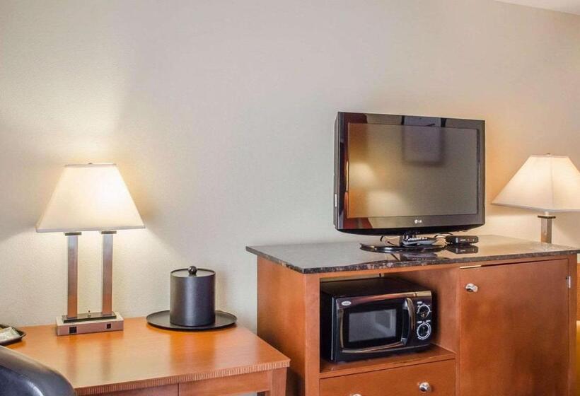 스탠다드 룸 킹사이즈 침대, Quality Inn Harrisburg Downtown Riverfront