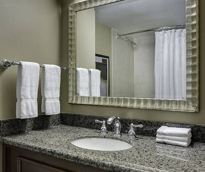 اتاق استاندارد با 2 تخت دوبل, Sheraton Oklahoma City Downtown