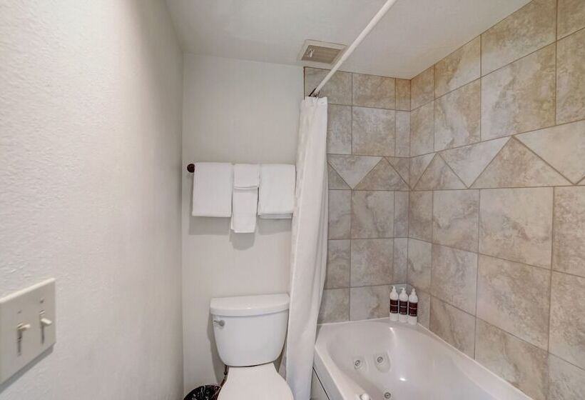 Апартаменты 1 Спальня, Shadow Ridge By All Seasons Resort Lodging