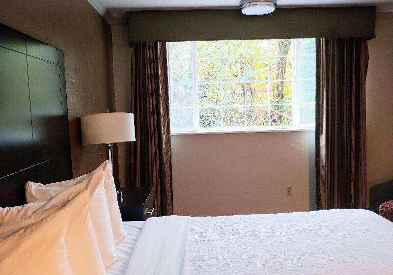 스탠다드 룸, Best Western Plus Parkway Inn