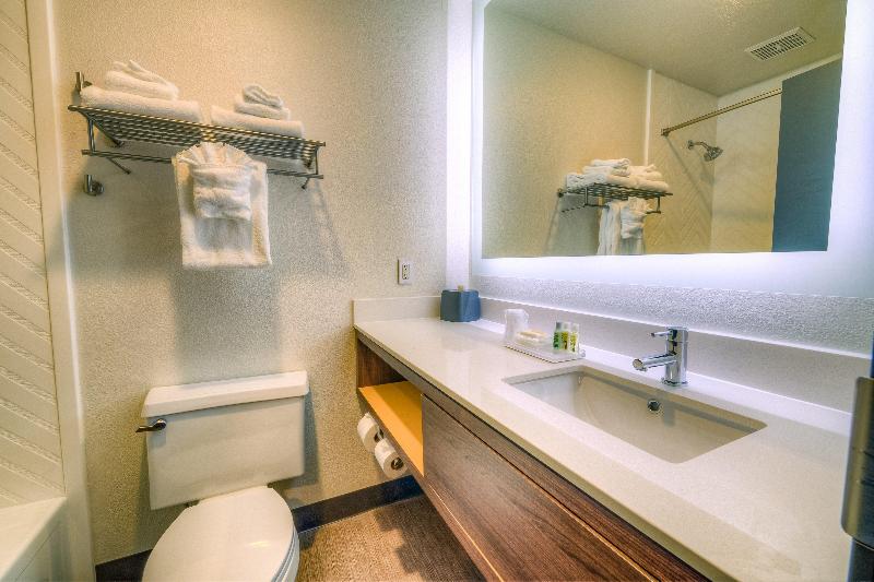장애인을 위한 킹사이즈 침대 스탠다드 룸, Holiday Inn Tacoma Mall, An Ihg