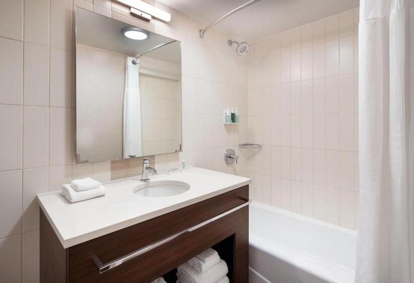 豪华工作室, Residence Inn By Marriott New York Manhattan/ Midtown Eastside