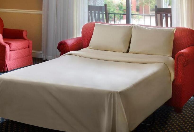 스탠다드 룸 더블 침대 2개, The Inn at Stone Mountain Park