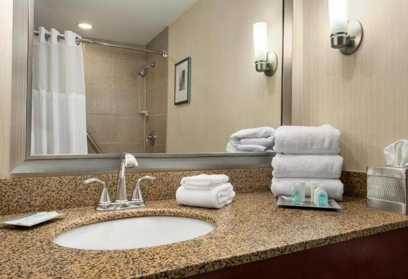 Junior Suite for Handicappede, Wyndham Springfield City Centre