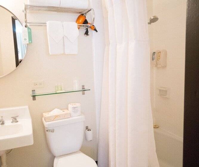 اتاق استاندارد, Stay Hotel Waikiki