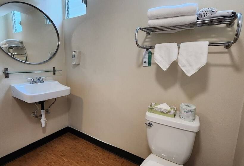 اتاق استاندارد, Stay Hotel Waikiki