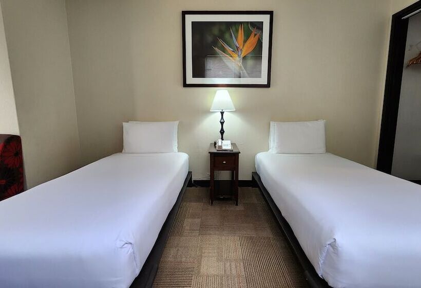 اتاق استاندارد, Stay Hotel Waikiki