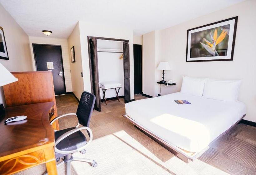 اتاق استاندارد, Stay Hotel Waikiki