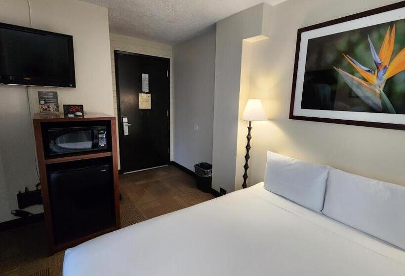 اتاق استاندارد, Stay Hotel Waikiki