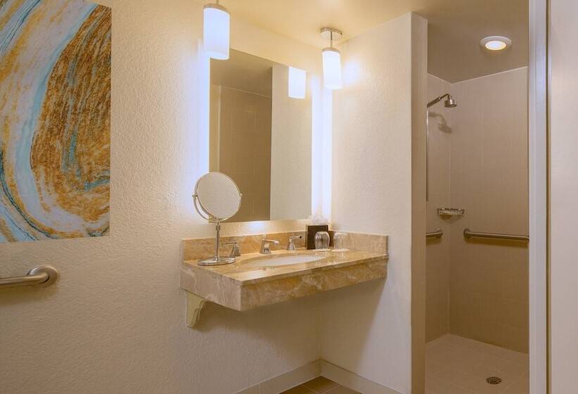 ２ダブルベッドのスタンダードルーム, The Westin Tampa Waterside