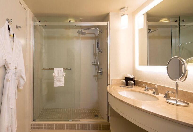 غرفه قياسيه سريرين مزدوجين, The Westin Tampa Waterside