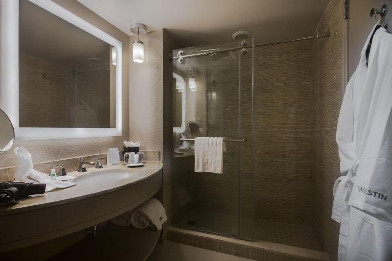 غرفة قياسية ذات إطلالة, The Westin Tampa Waterside