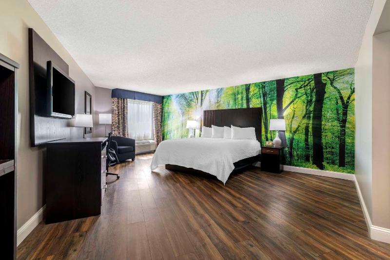 غرفة قياسية سرير كينج, The Westin Tampa Waterside