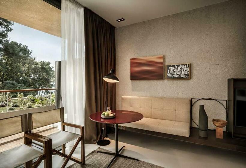 اتاق استاندارد برای معلولان, Grand Park Hotel Rovinj By Maistra Collection