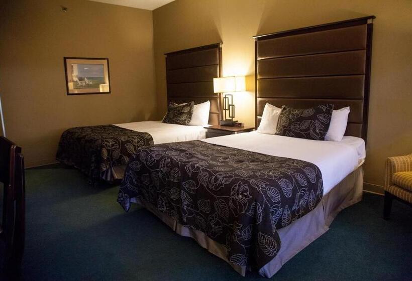 اتاق استاندارد برای معلولان, Medicine Hat Lodge, Trademark Collection By Wyndham