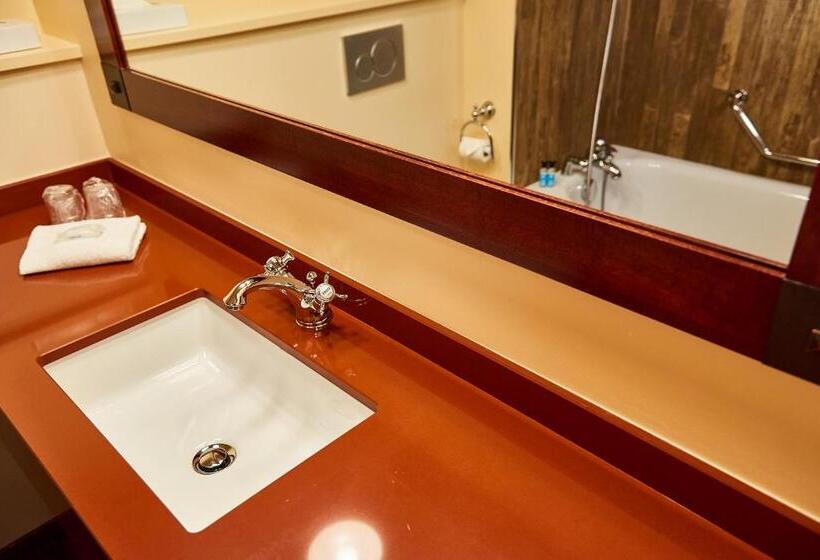 اتاق استاندارد, Disney Hotel Cheyenne