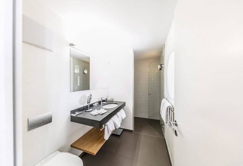 اتاق استاندارد, Engadiner Boutique Hotel Guardaval
