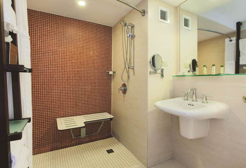اتاق استاندارد با تخت بزرگ برای معلولان, Doubletree By Hilton San Juan