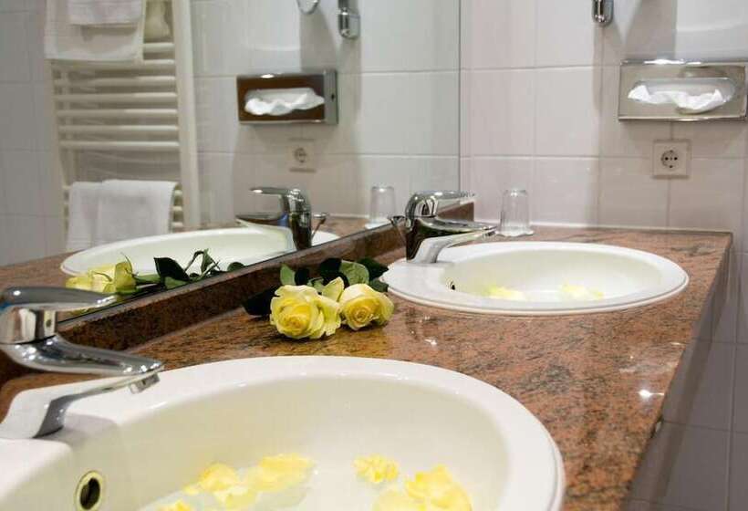 Номер Superior Одноместный, Ringhotel Am Stadtpark