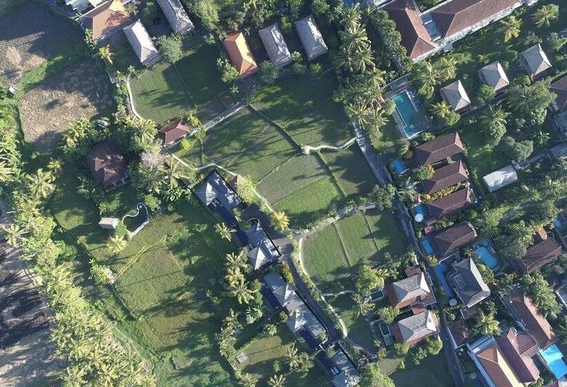 Вилла 2 Спальни, Amatara Agung Raka
